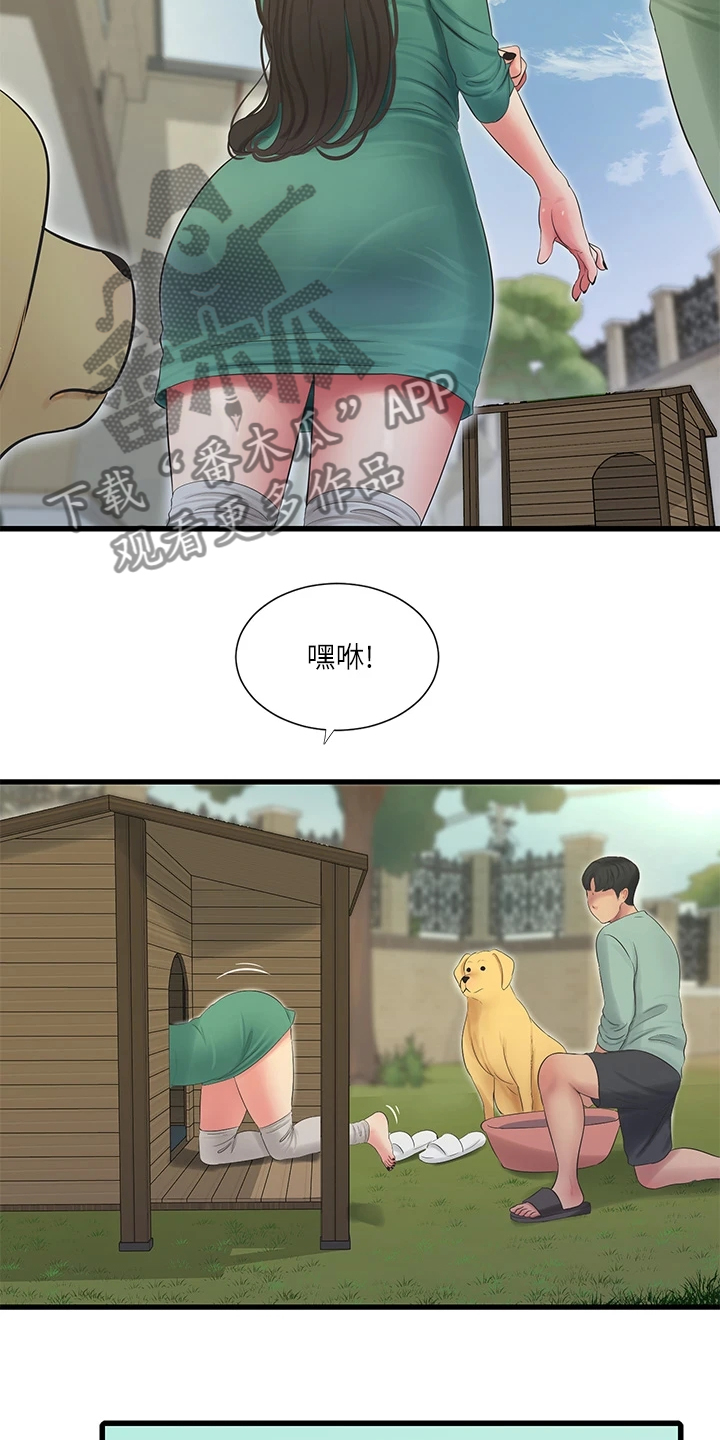 第137章：清理狗屋11