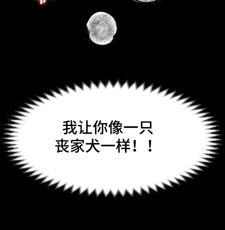 第60章：丧家犬35