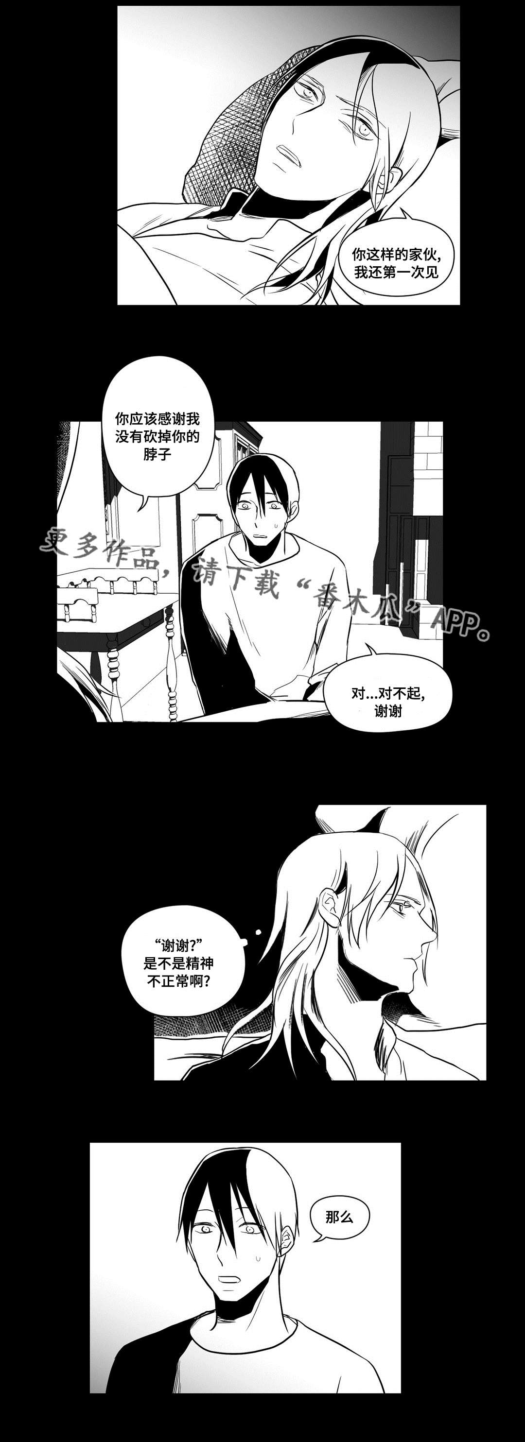 第17章：最初5