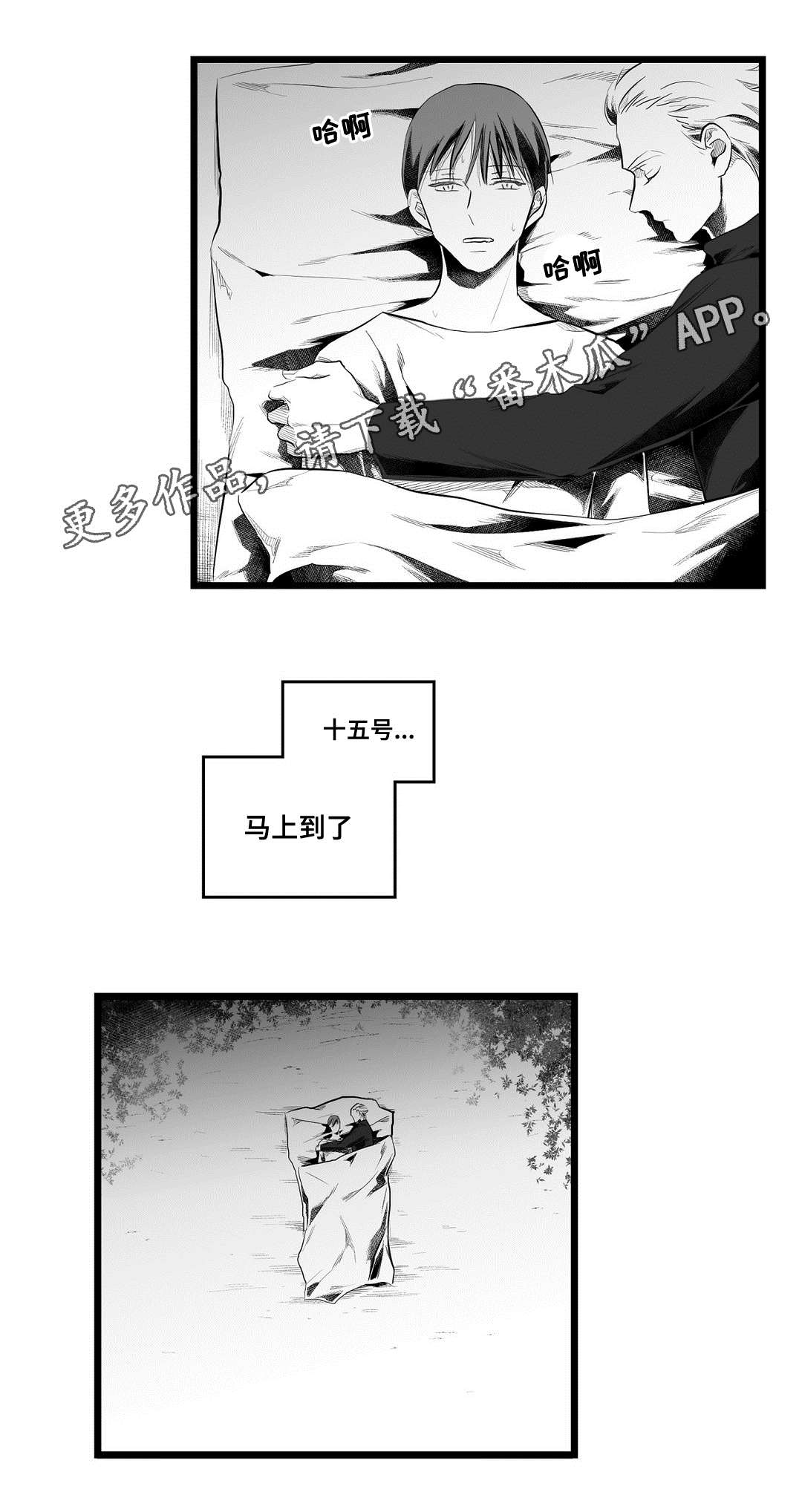 第82章：梦11