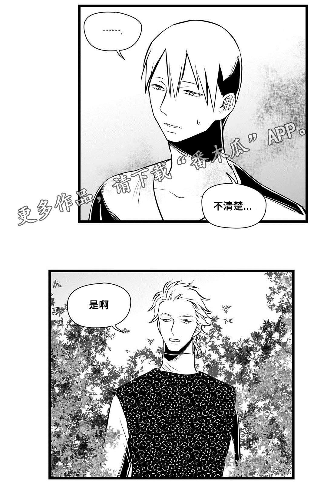 第32章：猜想16