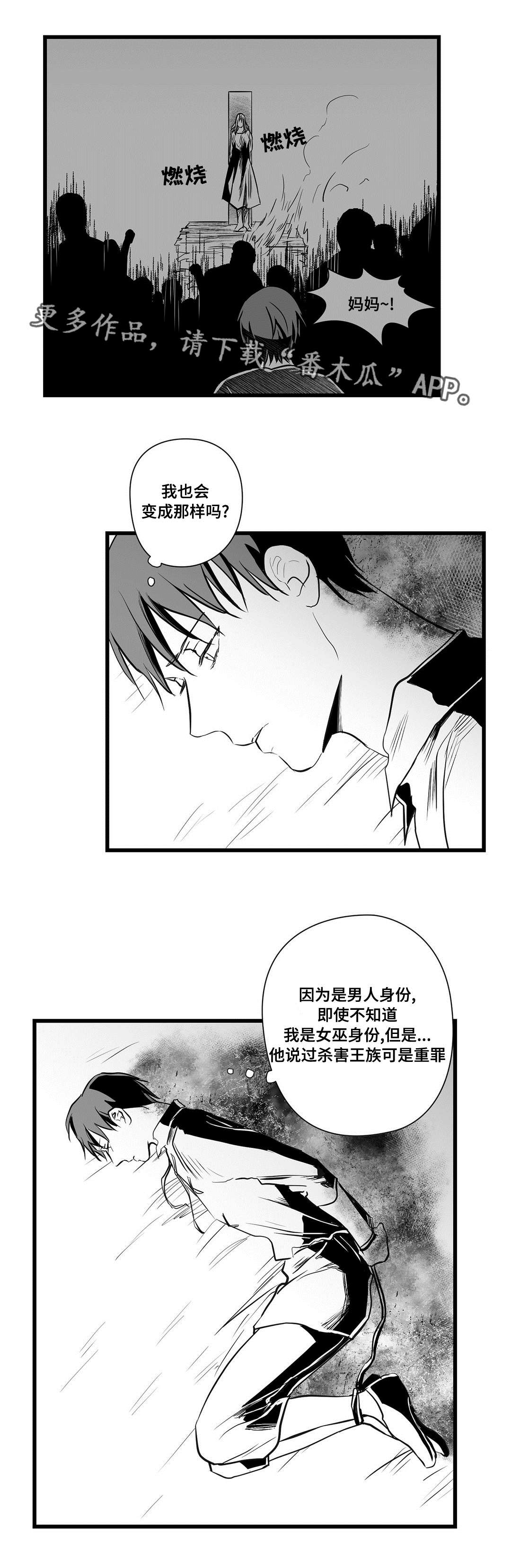 第29章：抛弃3