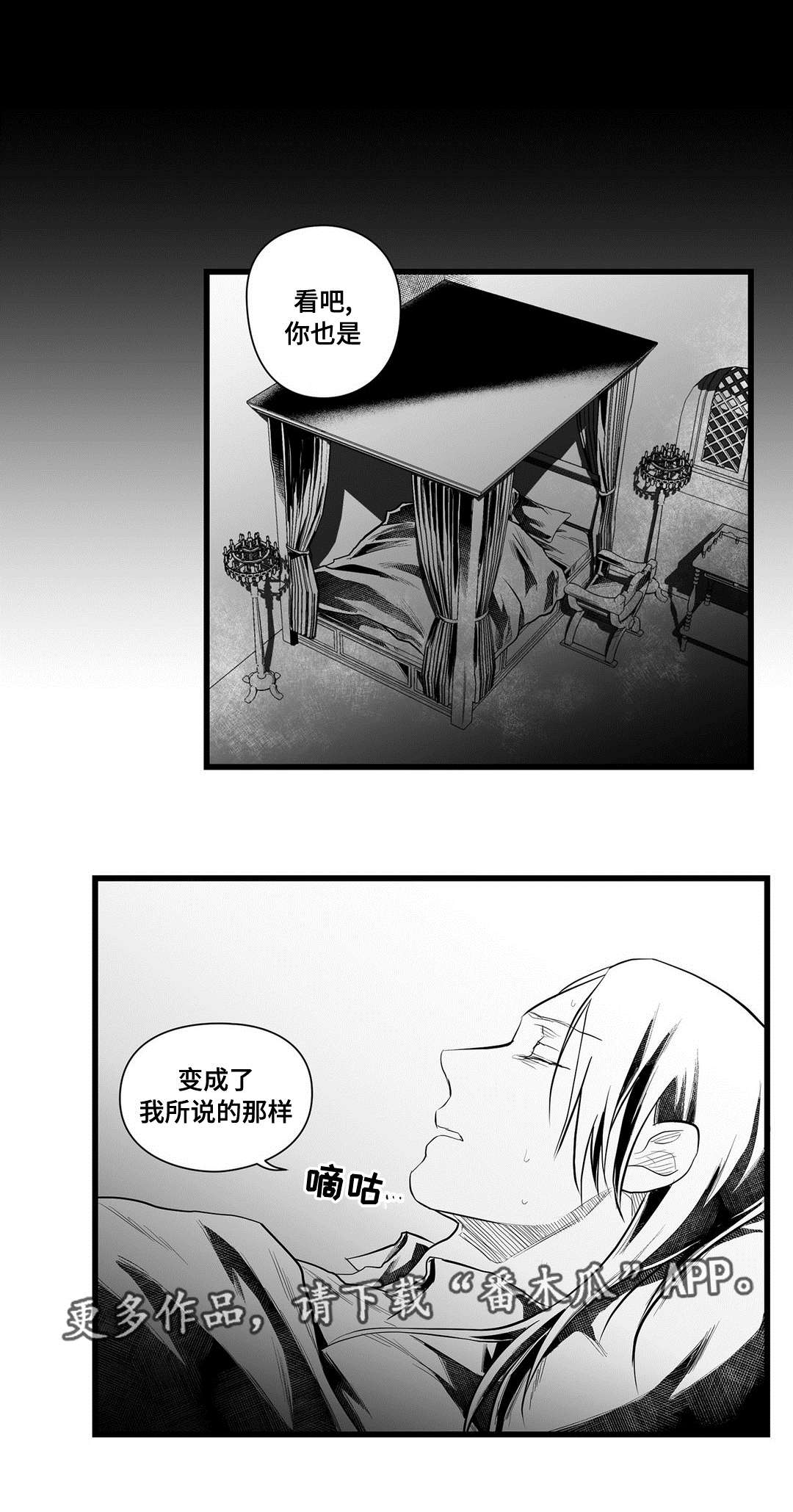 第46章：证言14
