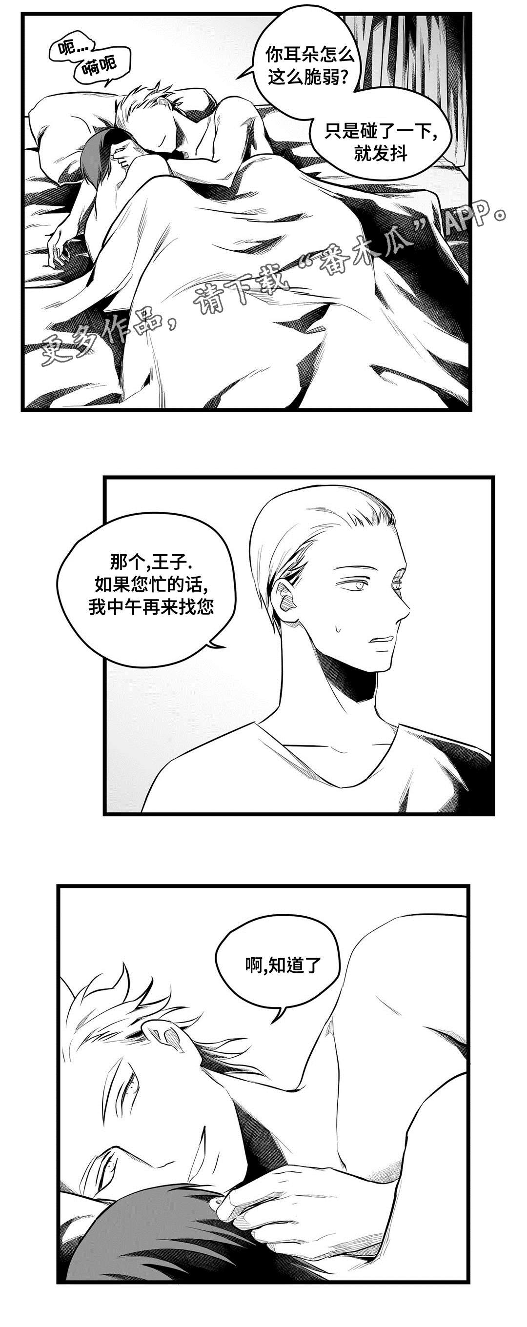 第53章：无法理解3