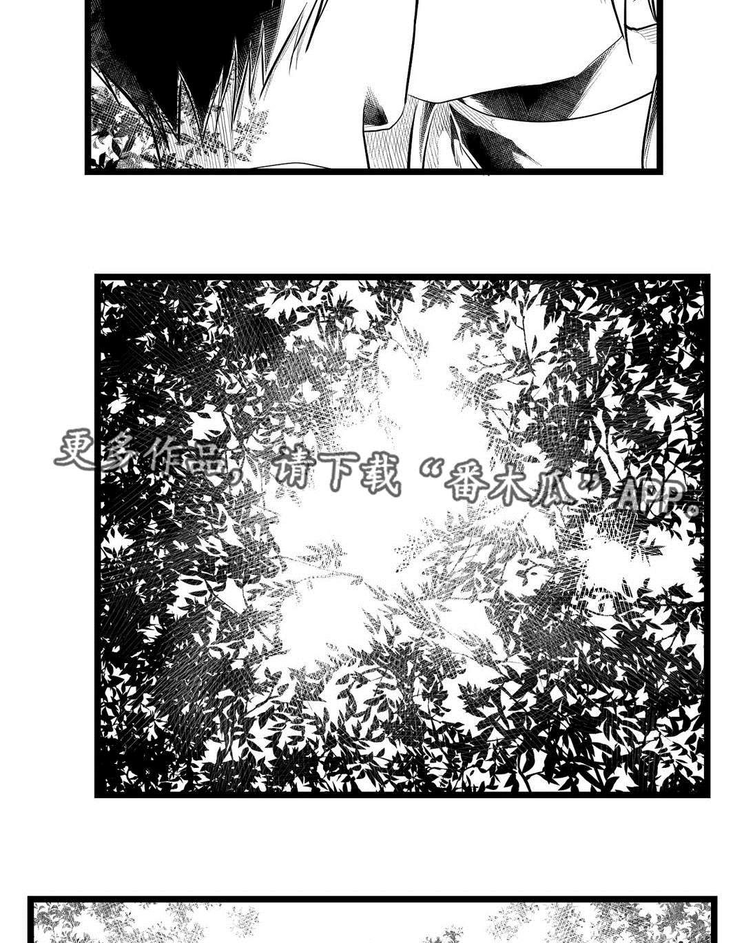 第71章：命运7