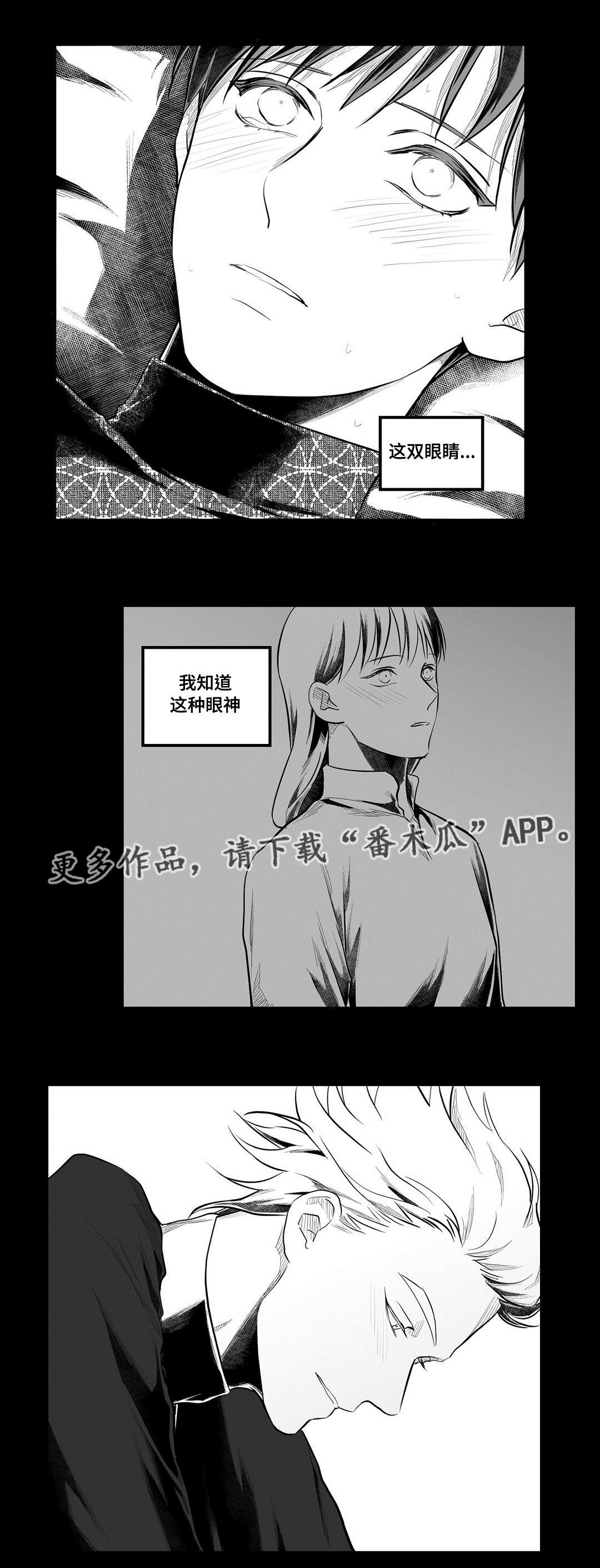 第55章：爱上20