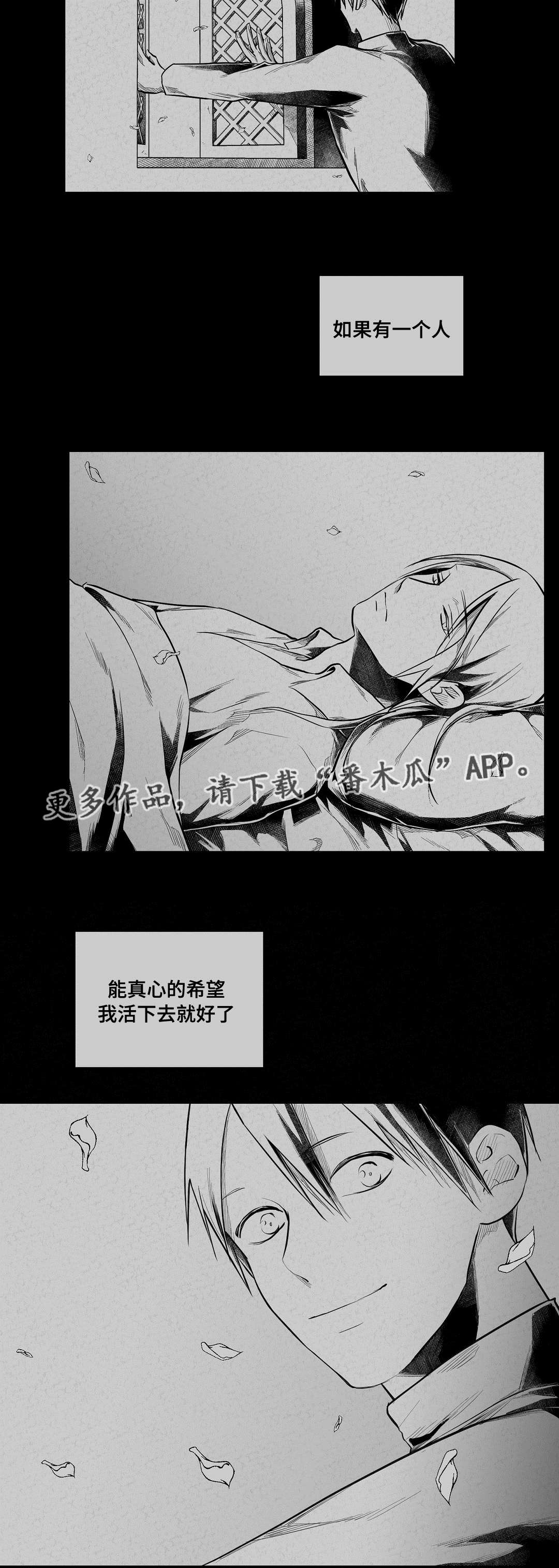 第63章：爱情17