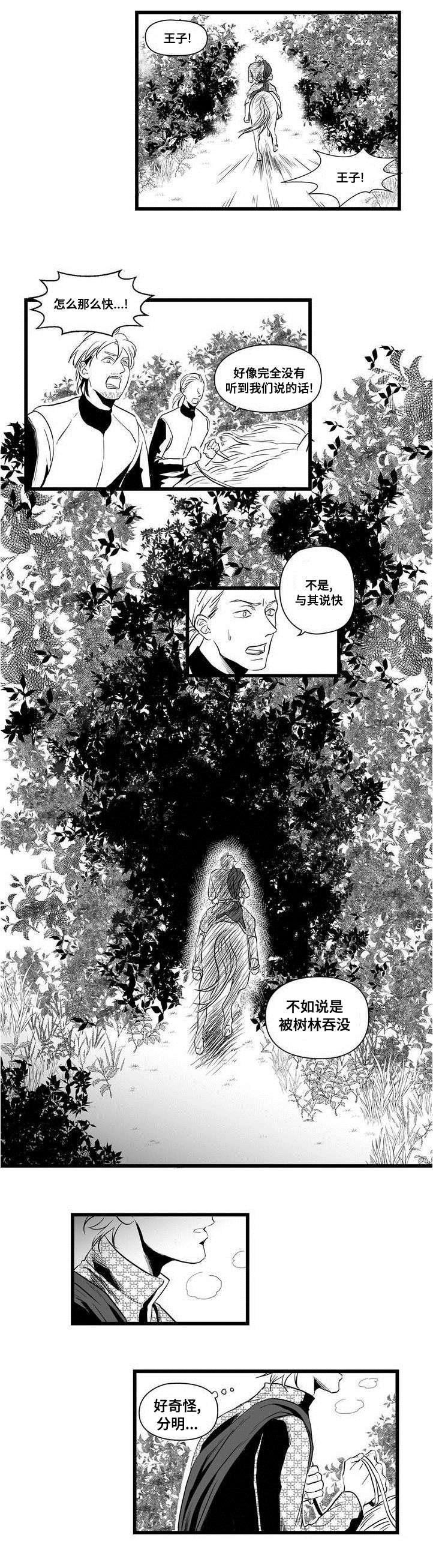 第1章：女巫6