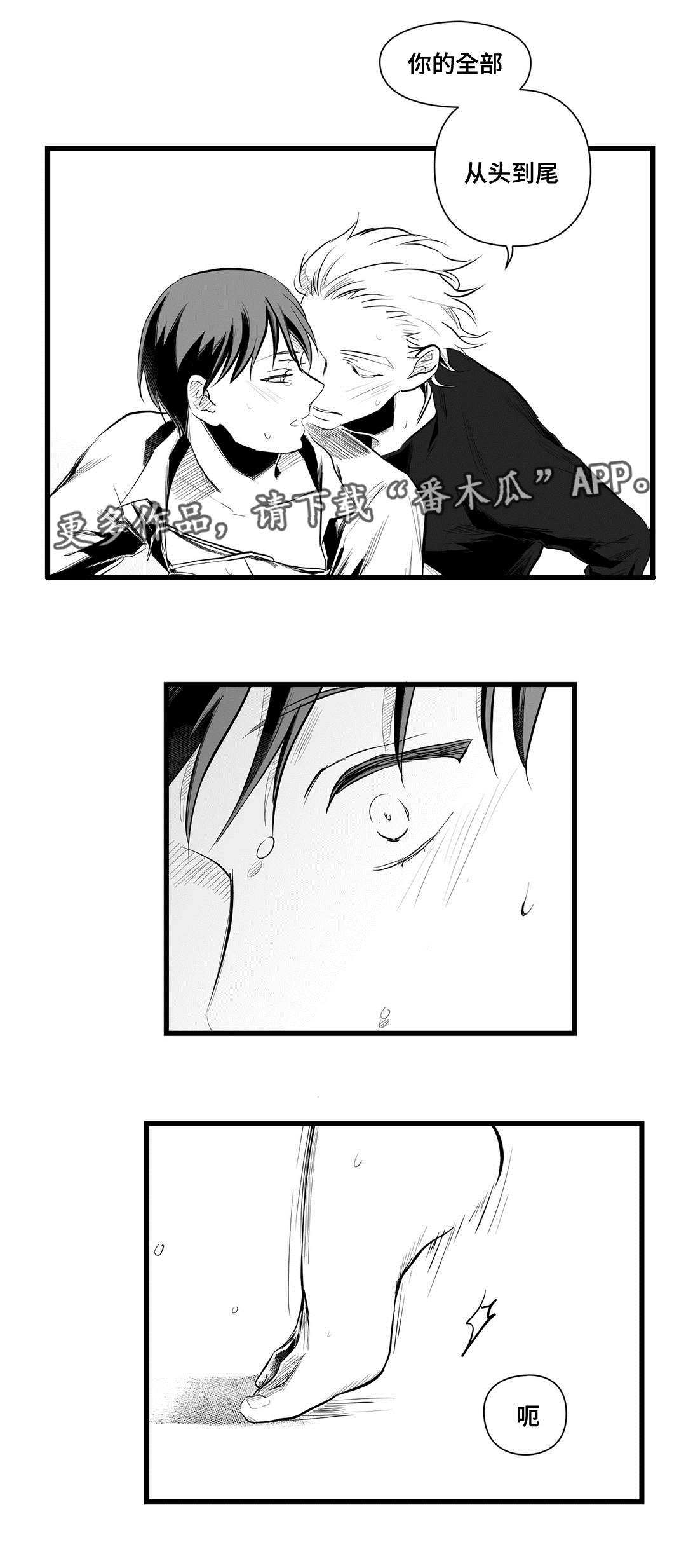 第41章：何去何从1