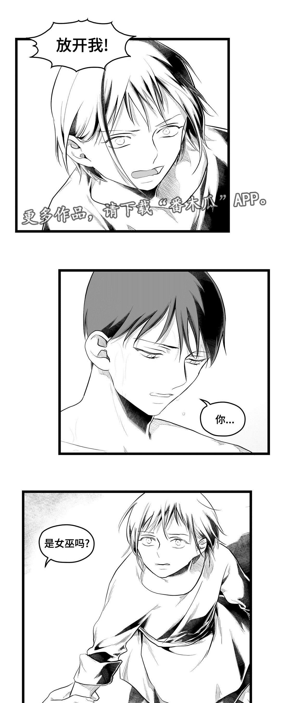 第77章：预见未来16