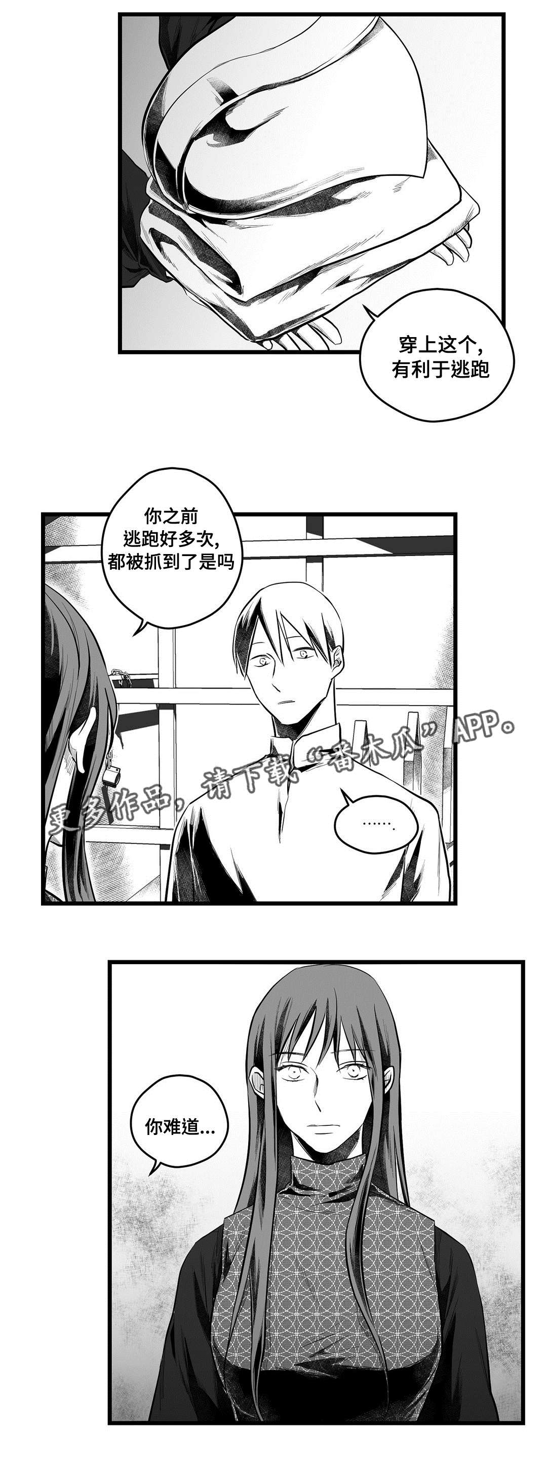第54章：出逃6