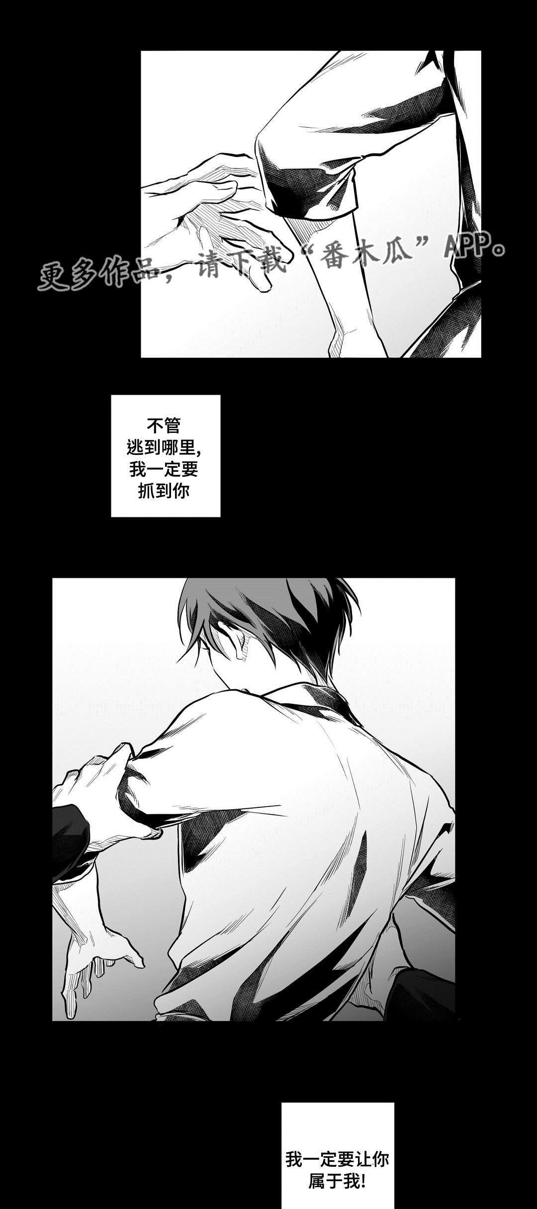 第58章：追寻17