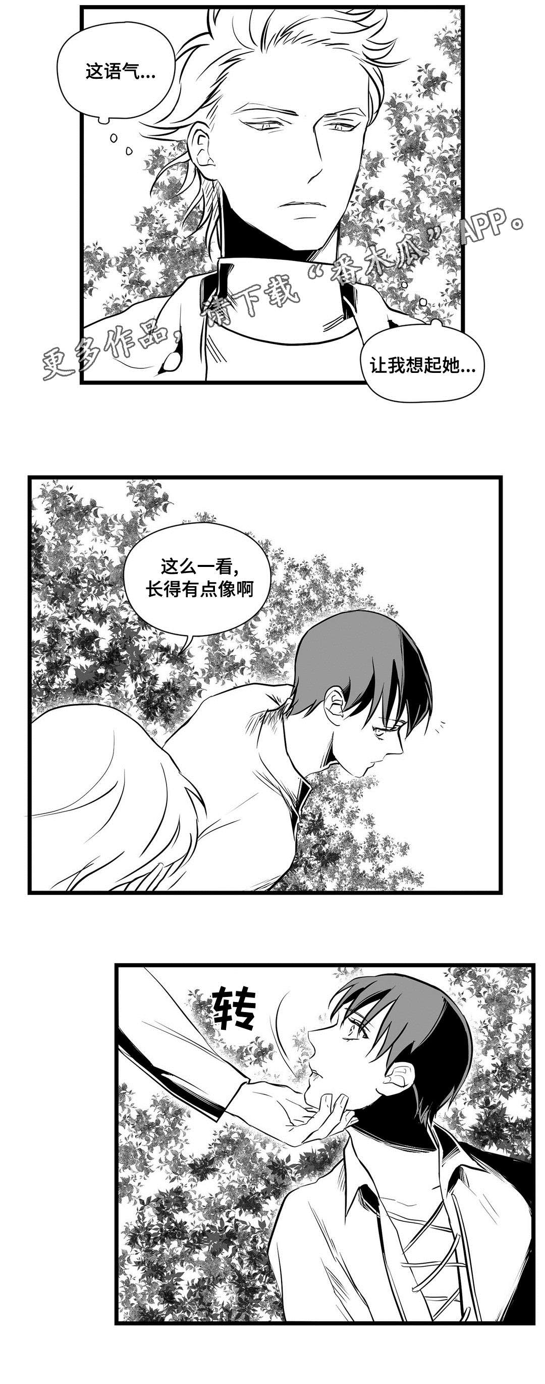 第28章：收获6