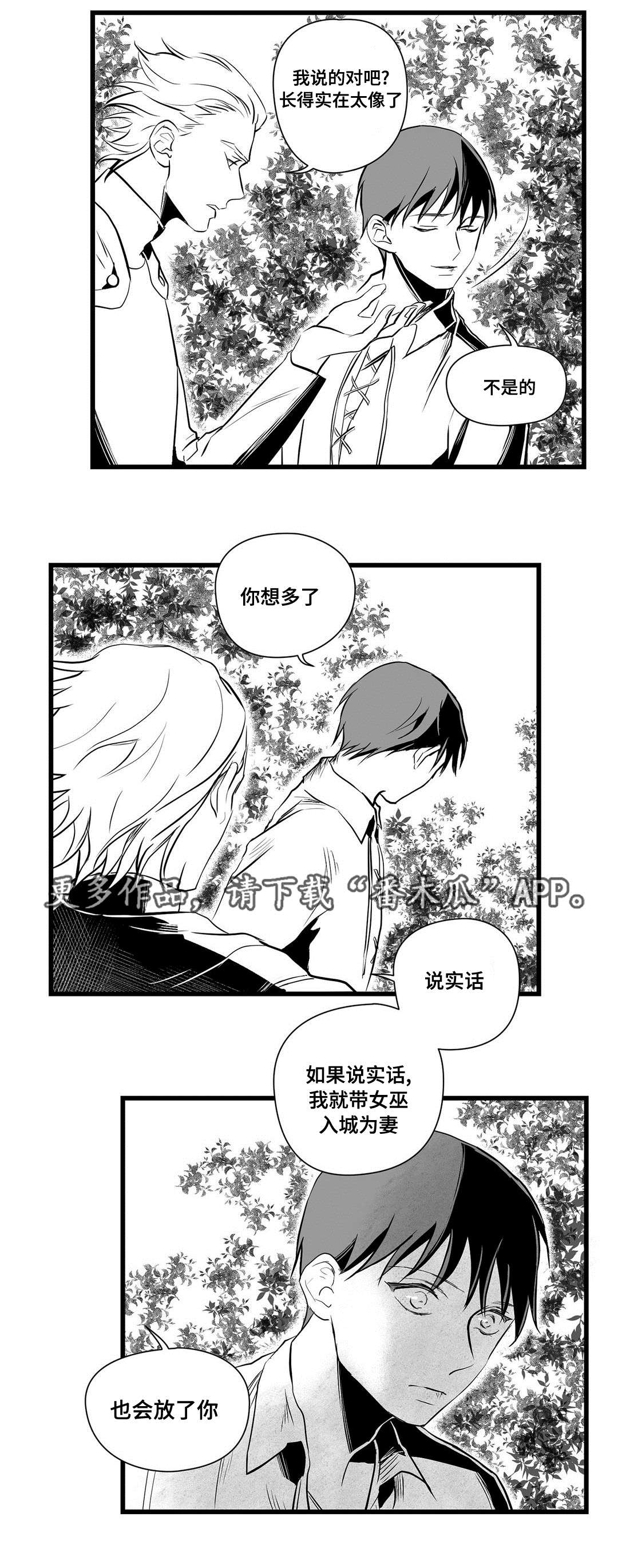 第28章：收获8