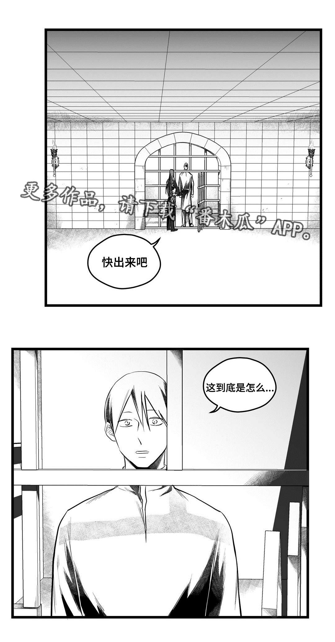 第54章：出逃5