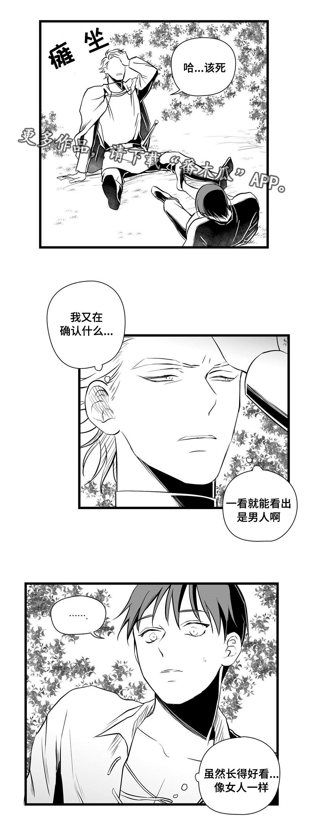 第28章：收获11