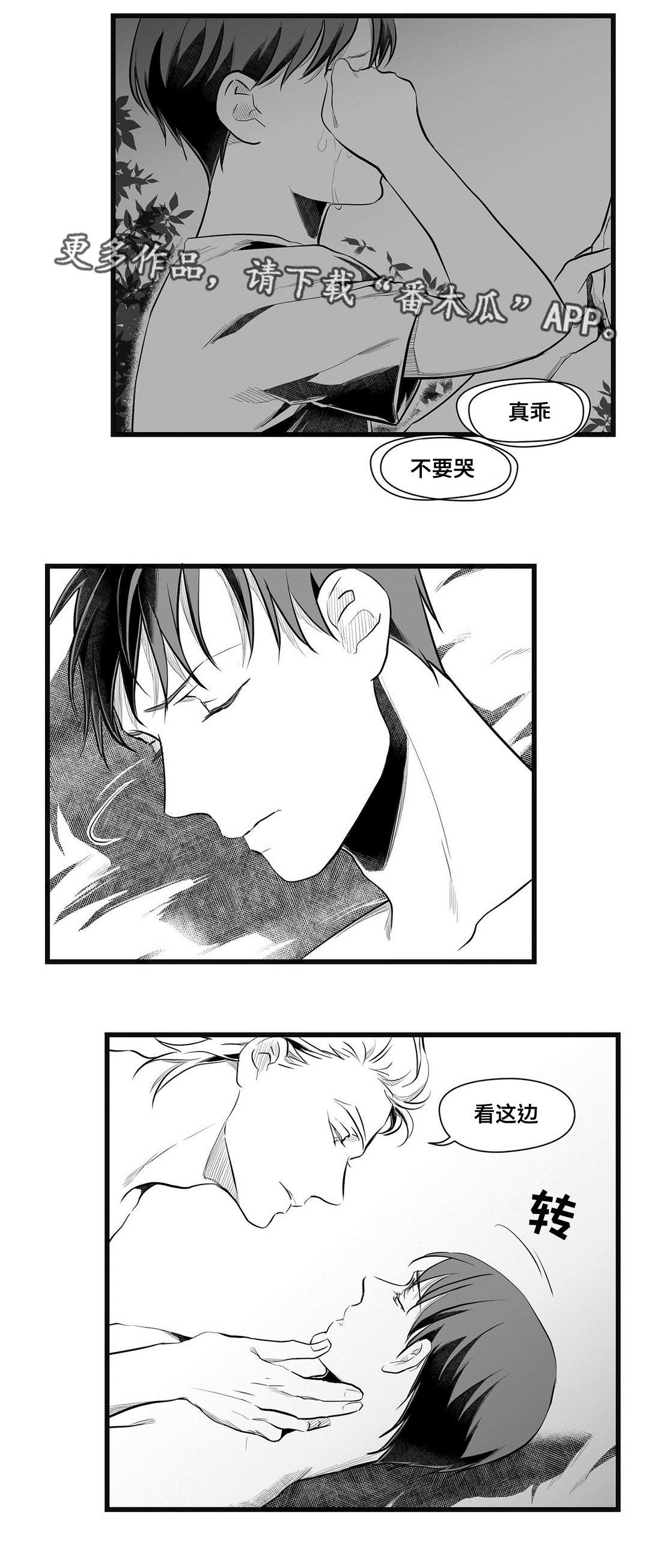第49章：守护3