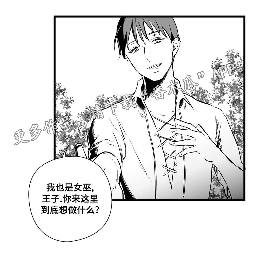 第24章：诡异13