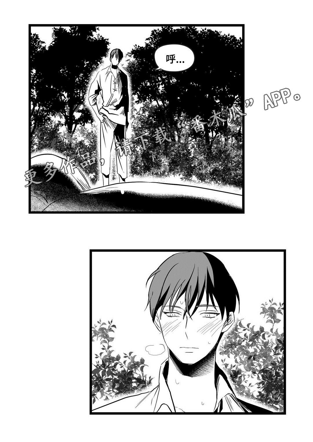第21章：合作15