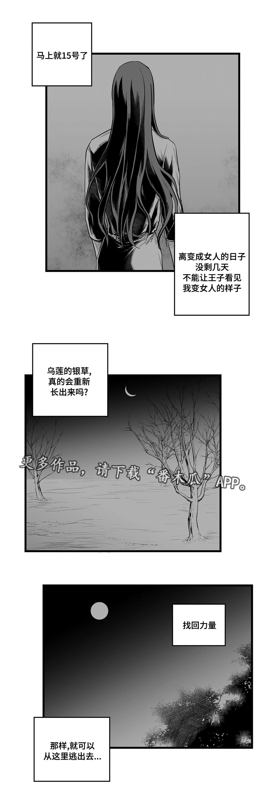 第41章：何去何从13