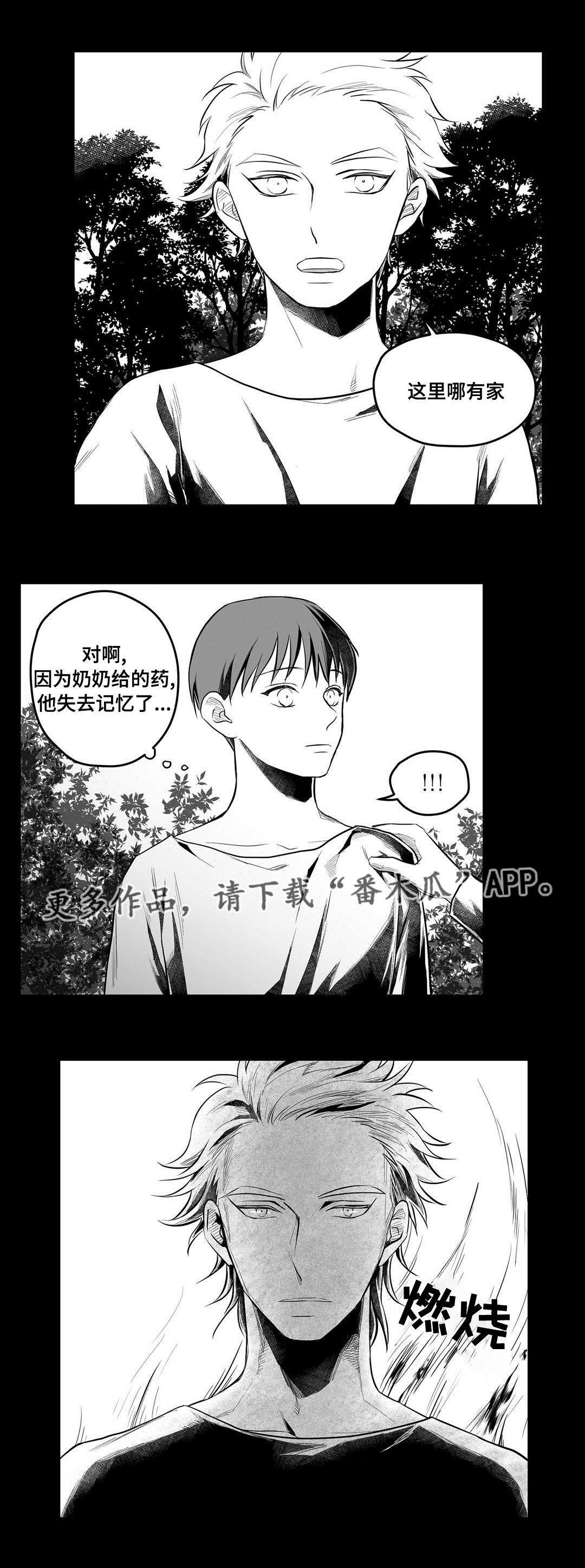 第53章：无法理解8