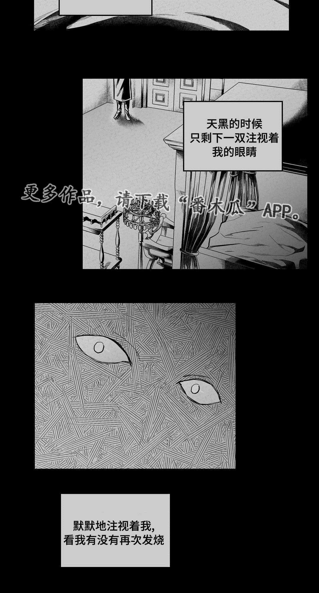 第63章：爱情14