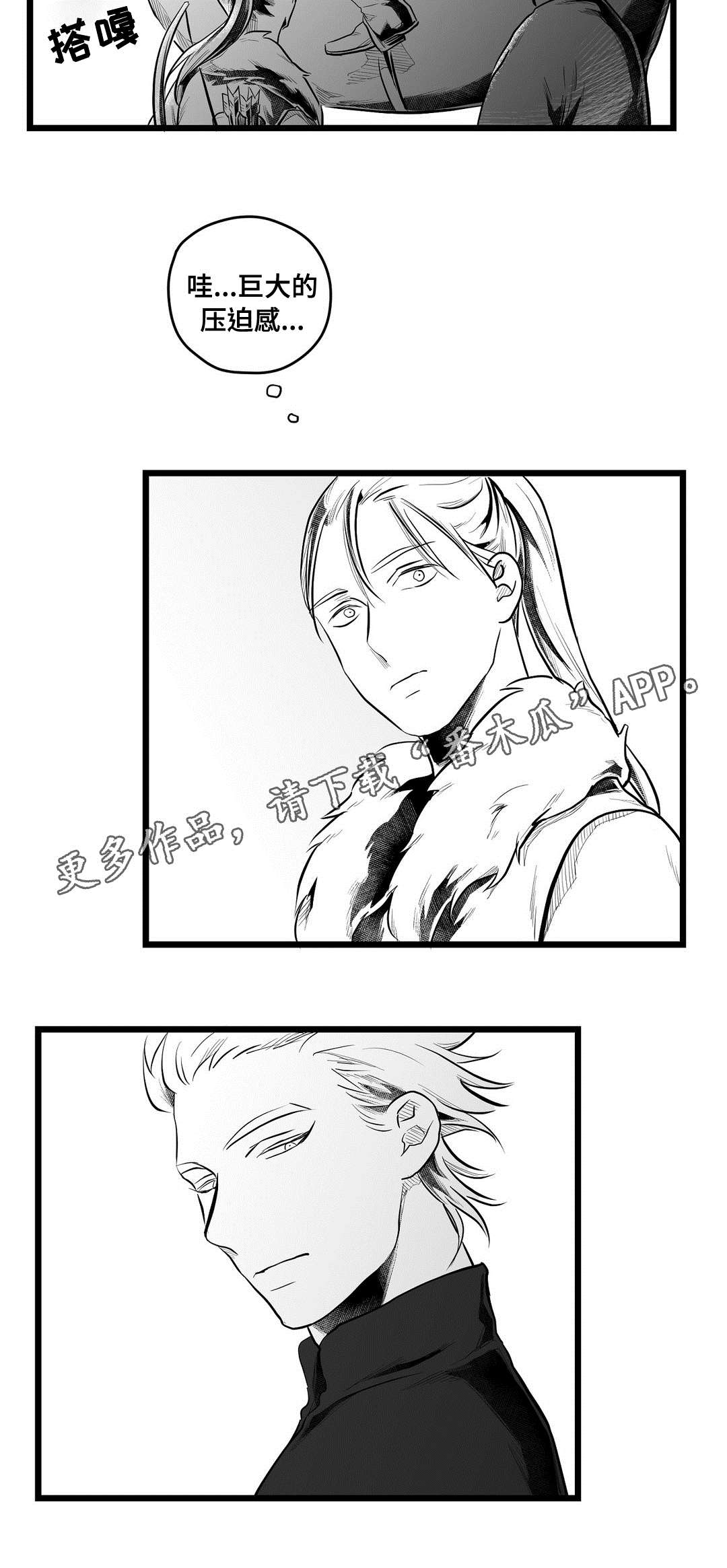 第66章：发现11