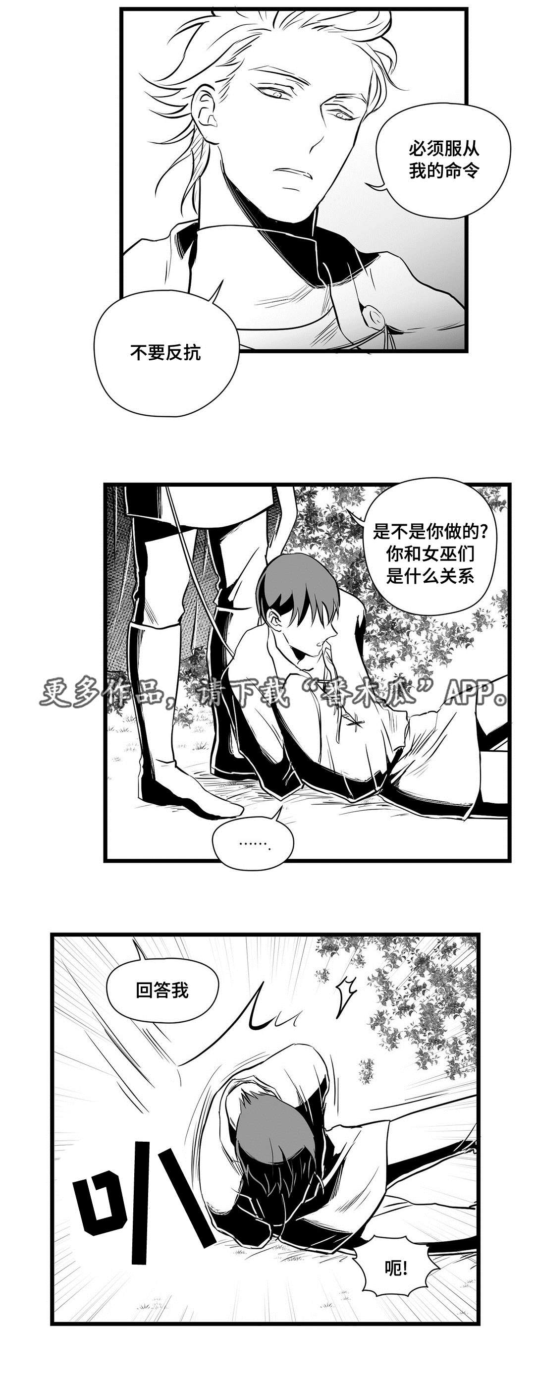 第28章：收获4