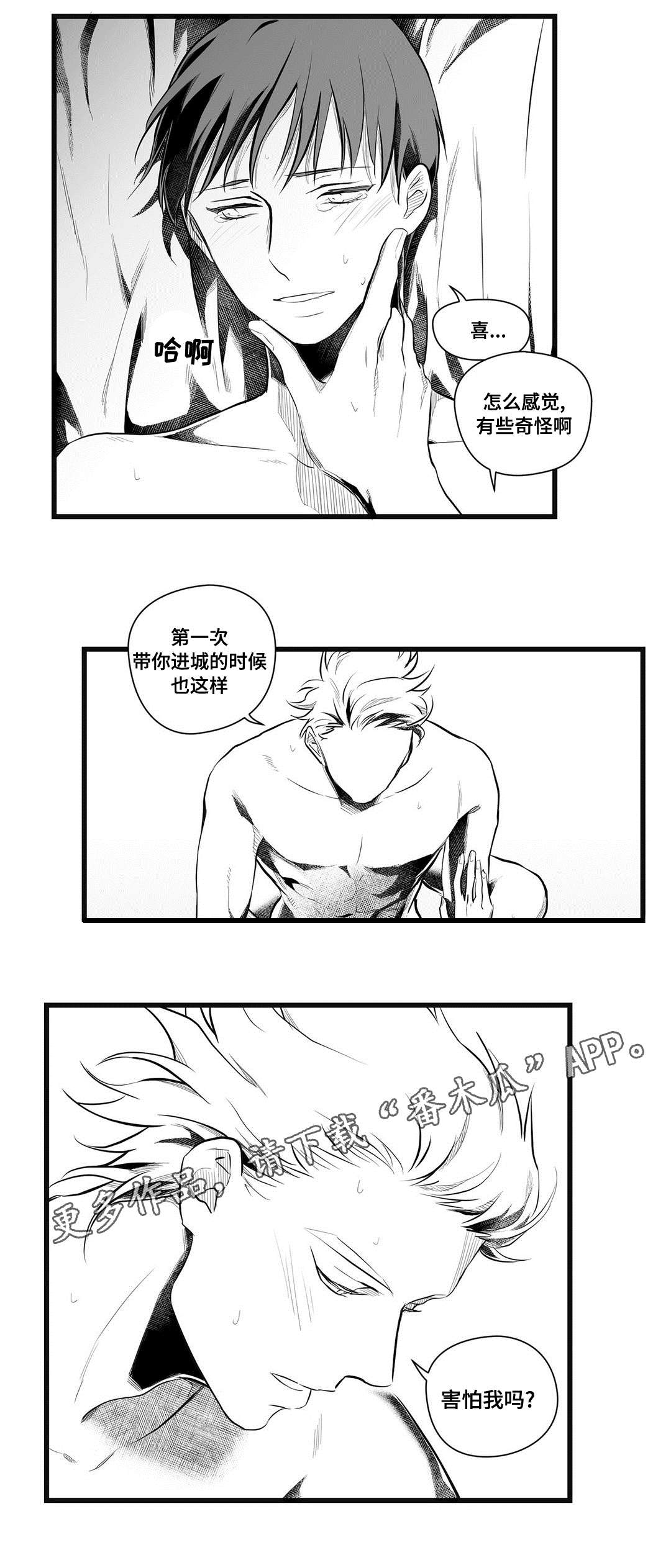 第49章：守护8