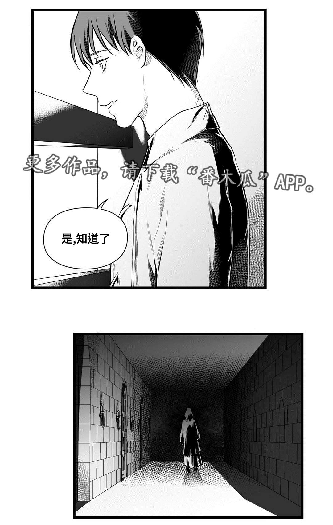 第46章：证言2