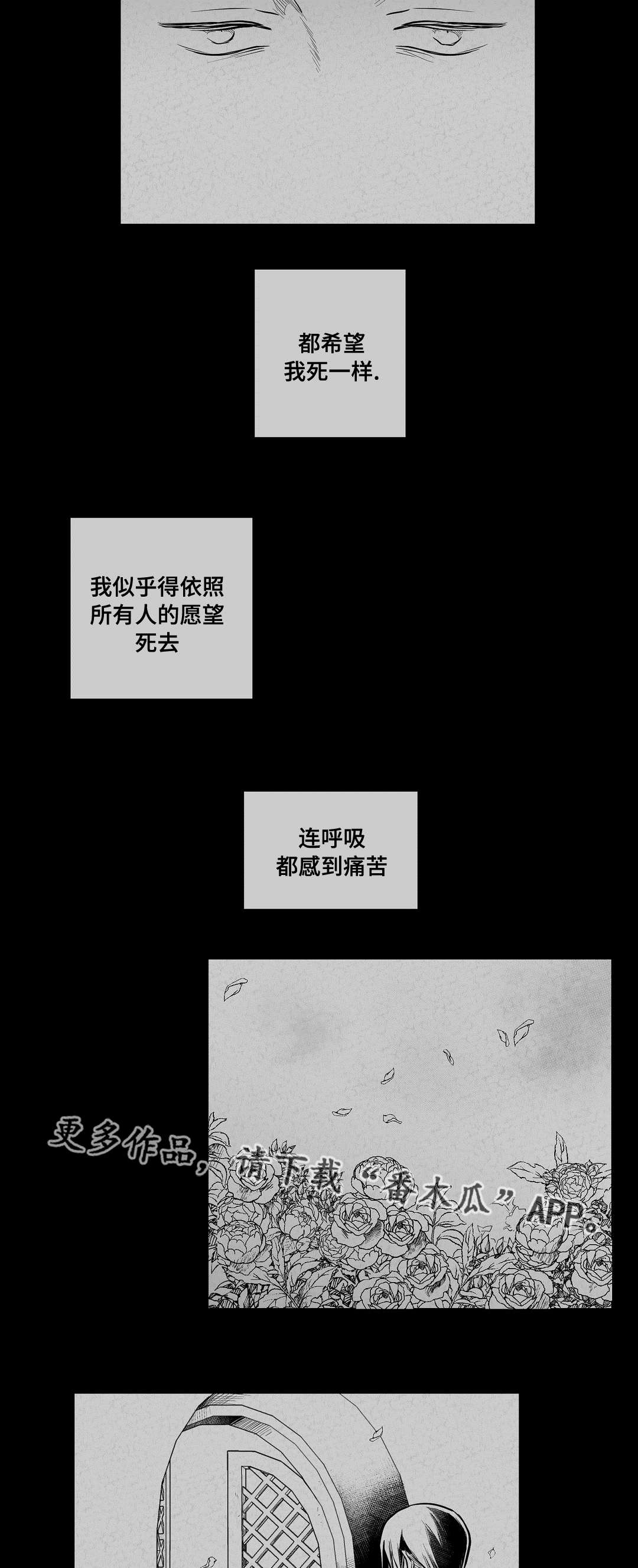 第63章：爱情16