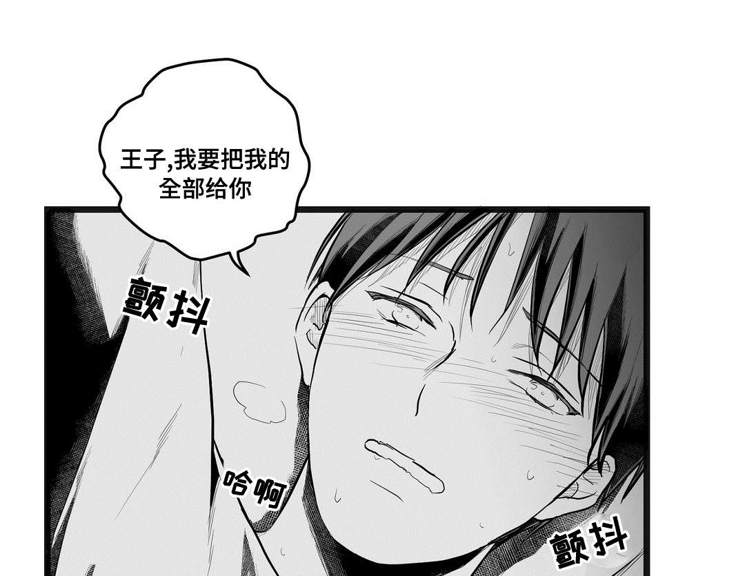 第73章：幕后真凶14
