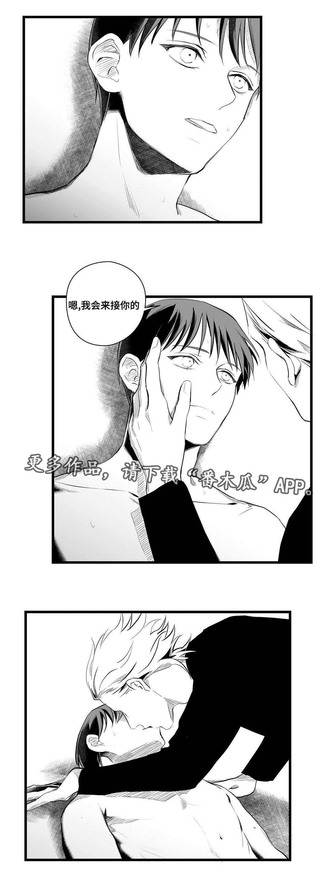 第41章：何去何从8