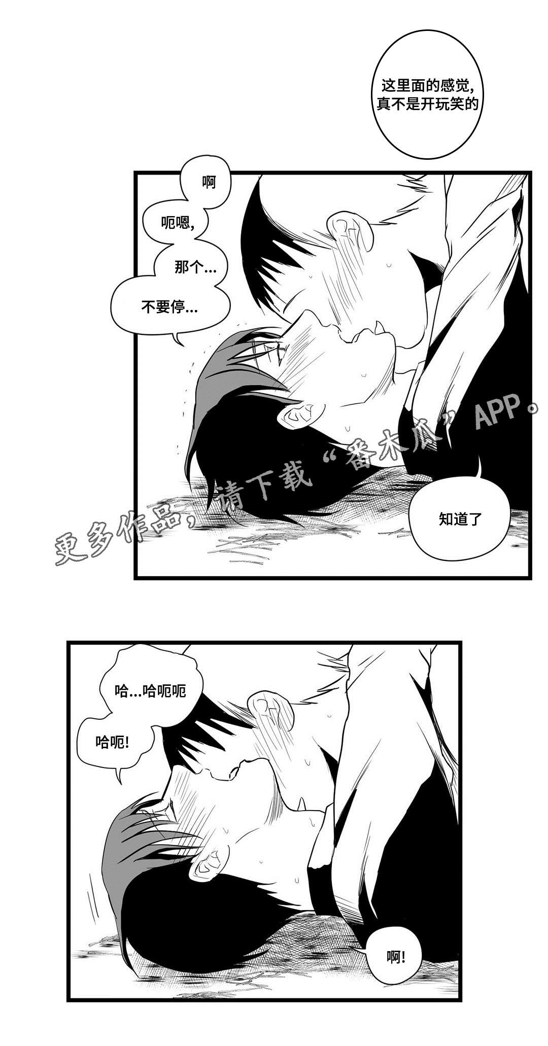 第21章：合作6