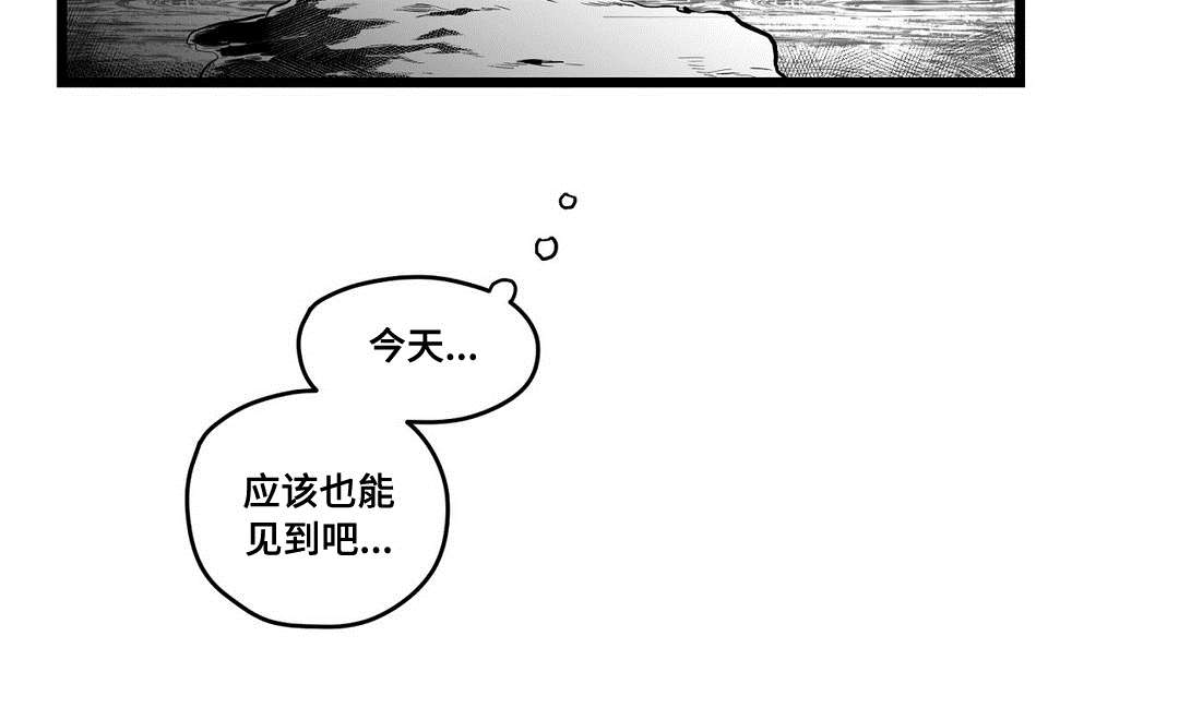 第63章：爱情6
