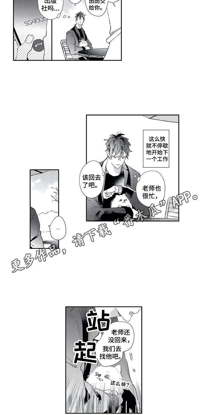 第10章：散步8