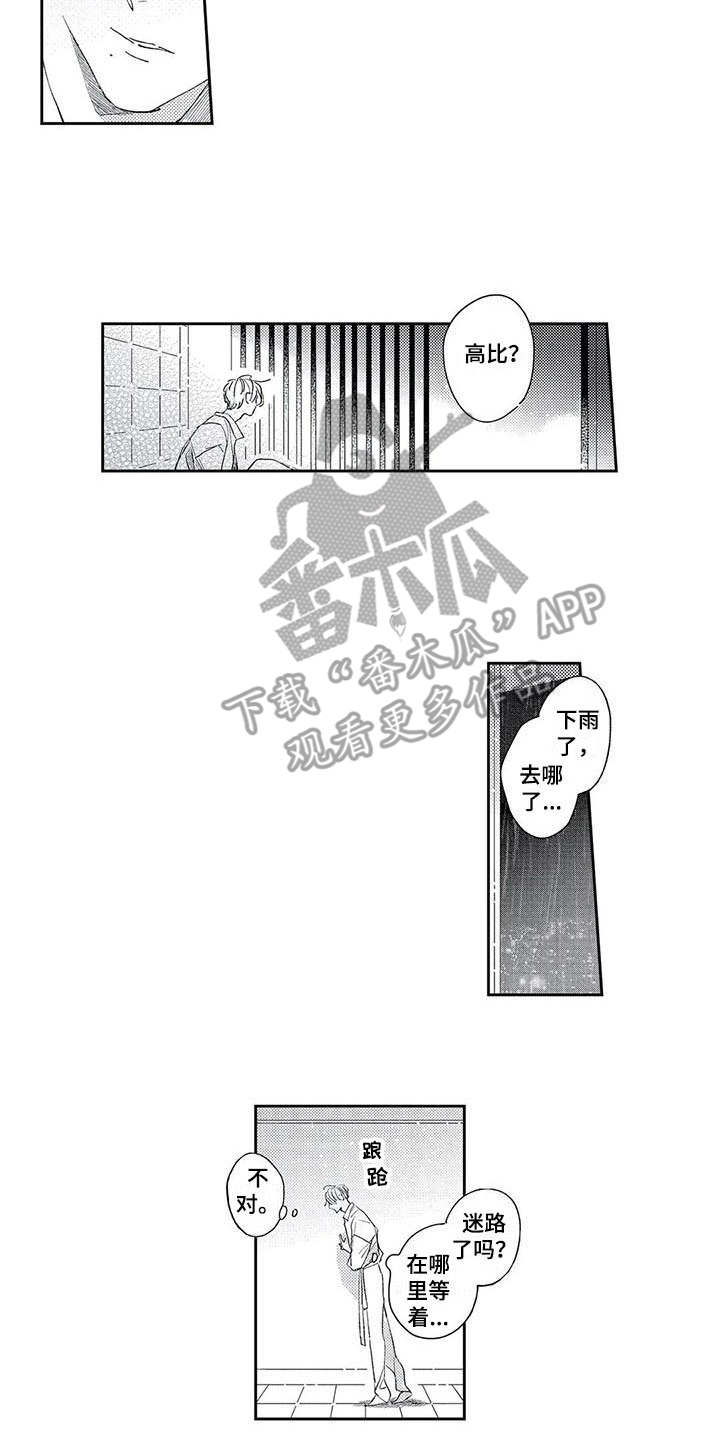 第18章：晕倒1
