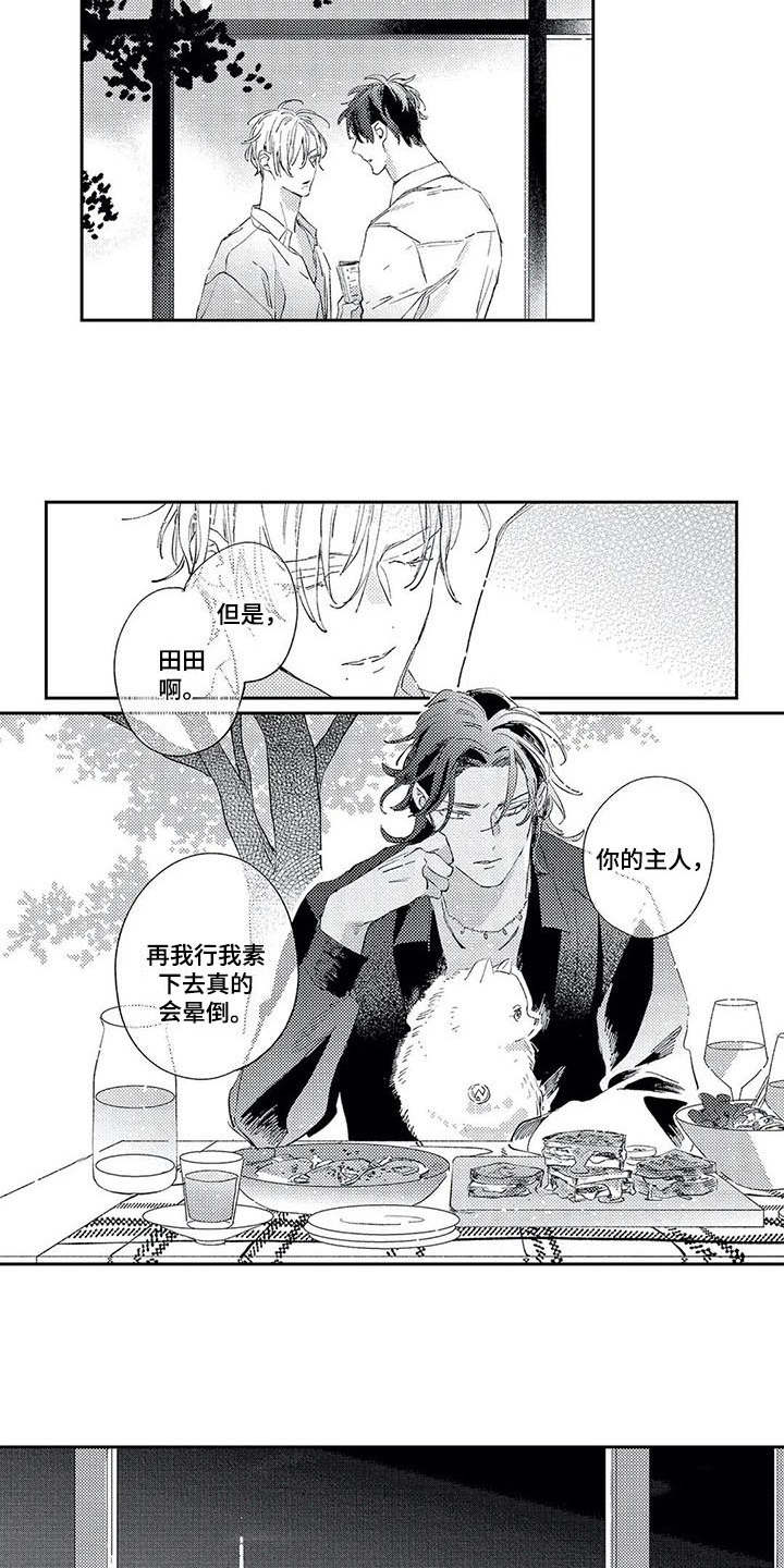 第14章：梦3