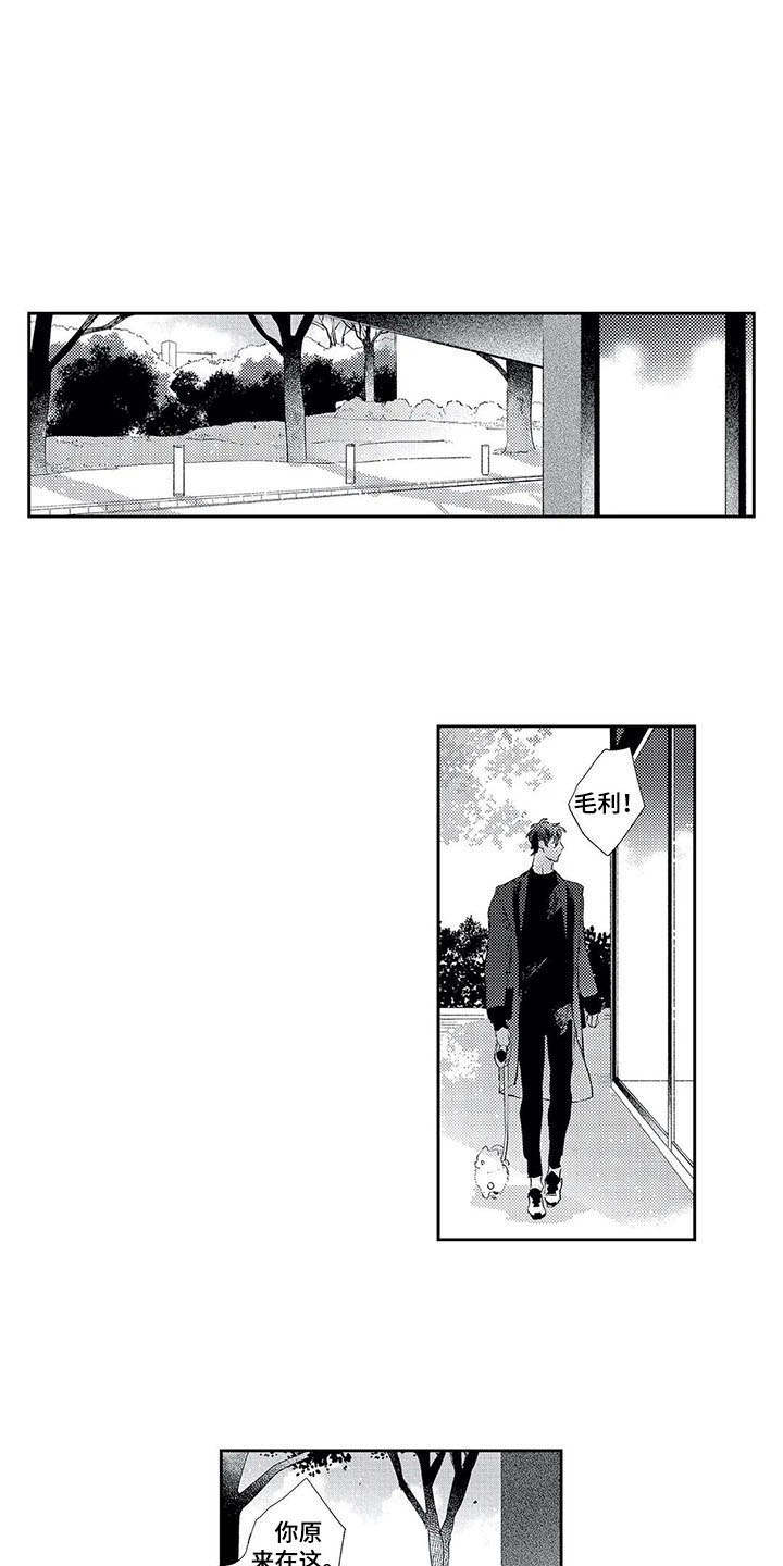 第10章：散步9