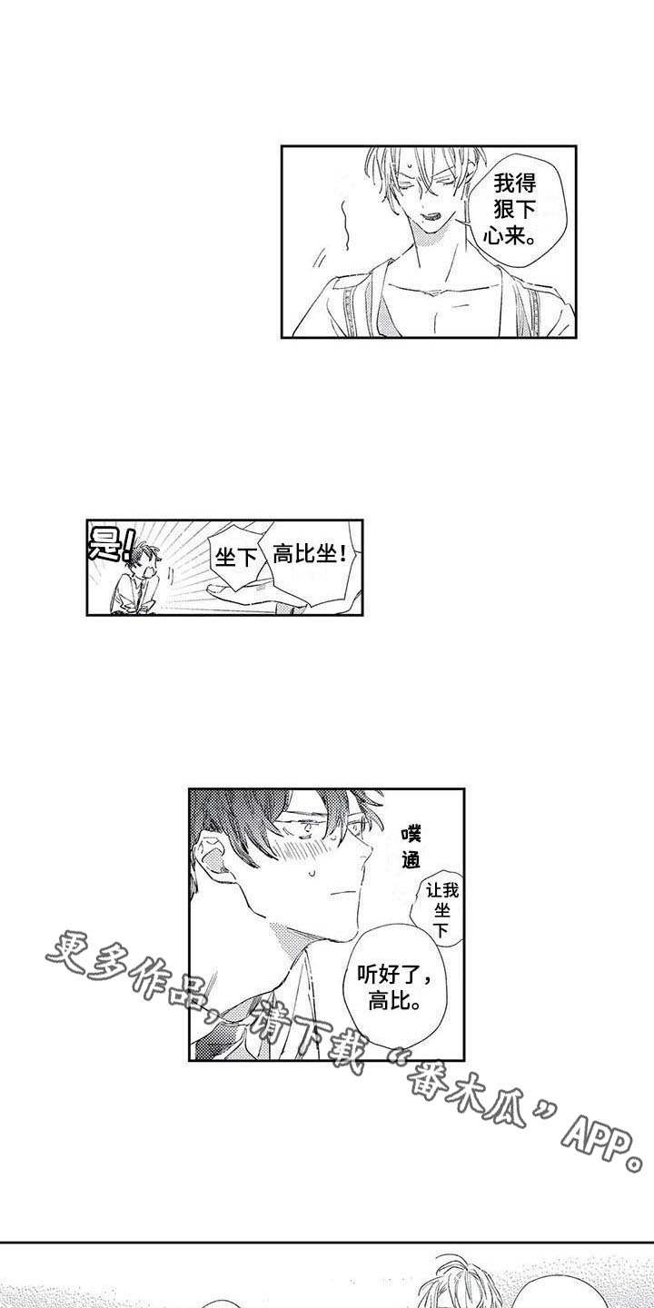 第6章：约定6