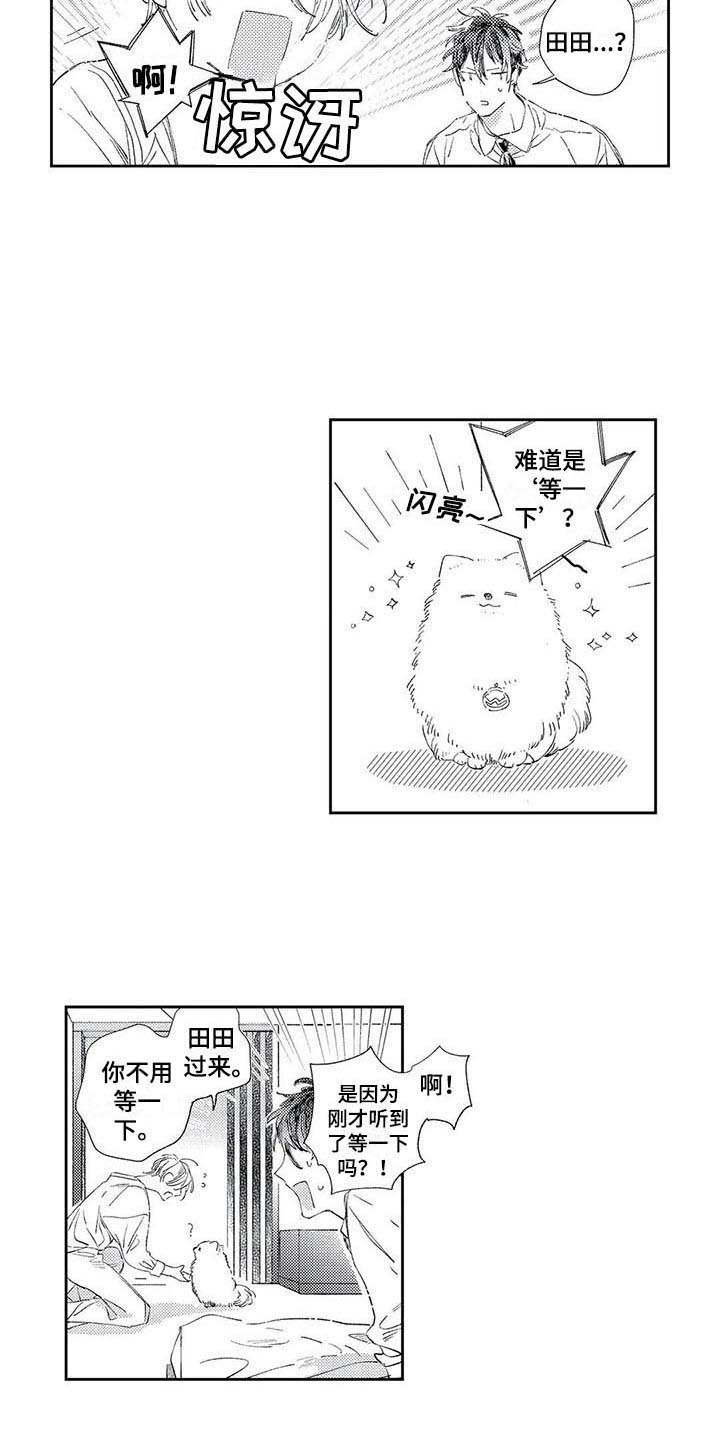 第6章：约定3