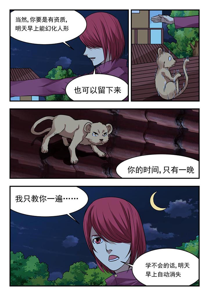 第156章：6