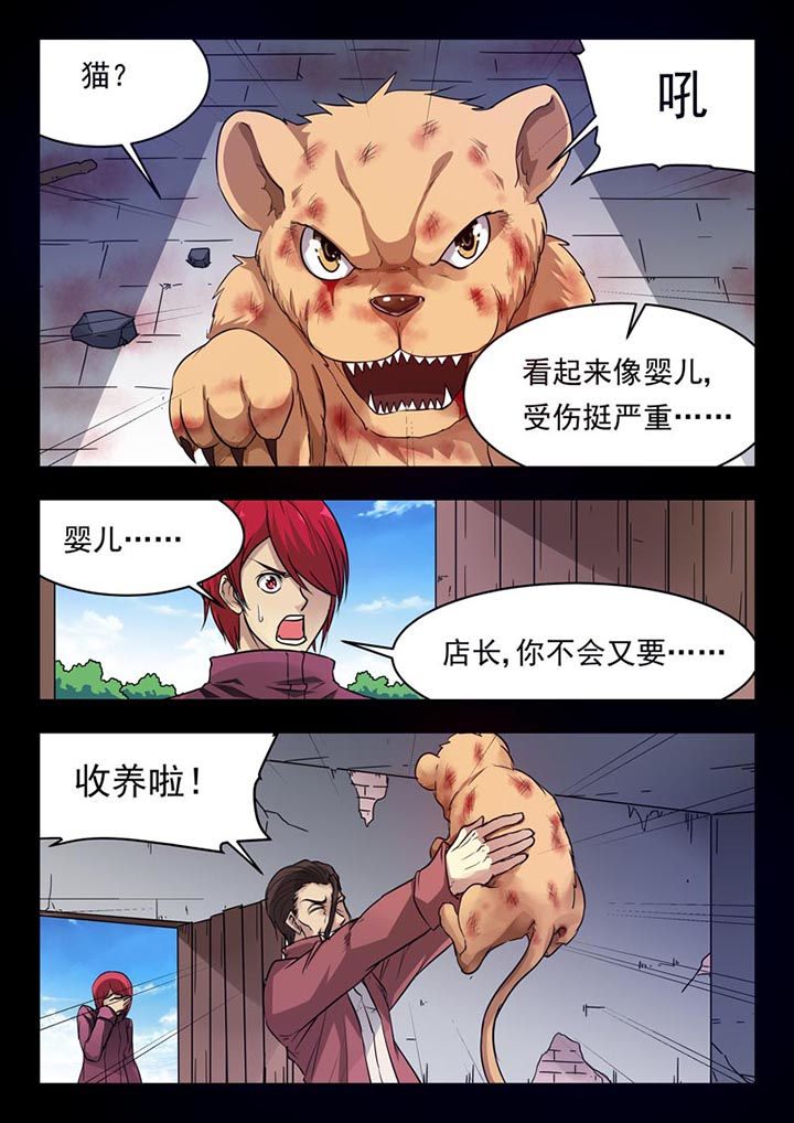 第154章：7