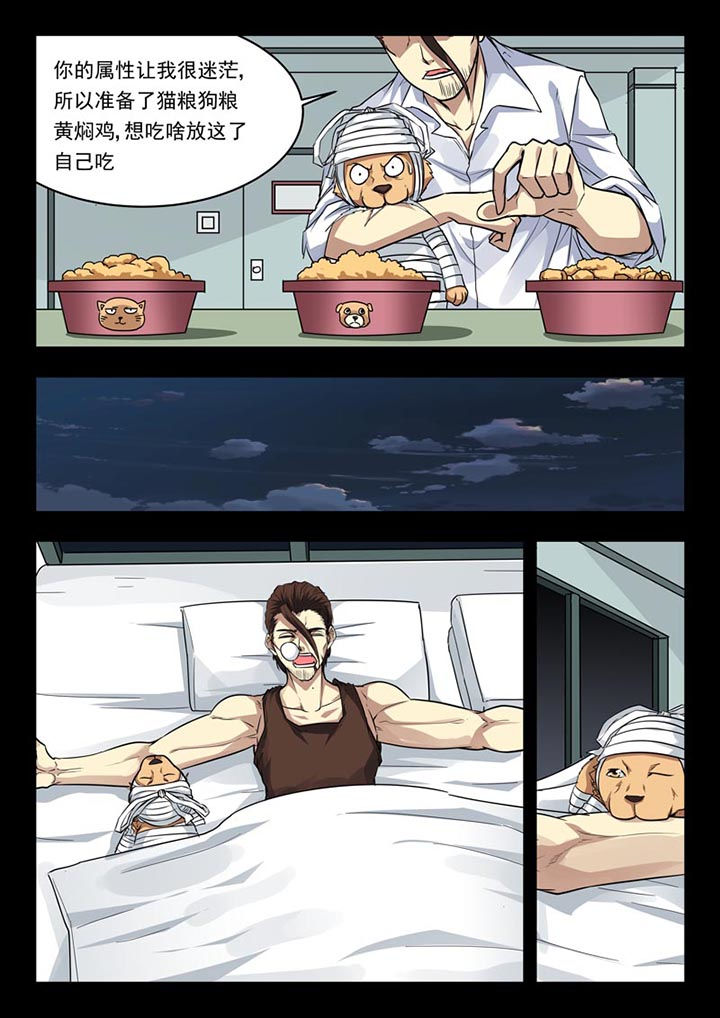 第155章：5