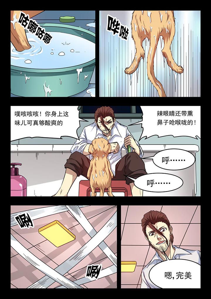 第155章：3