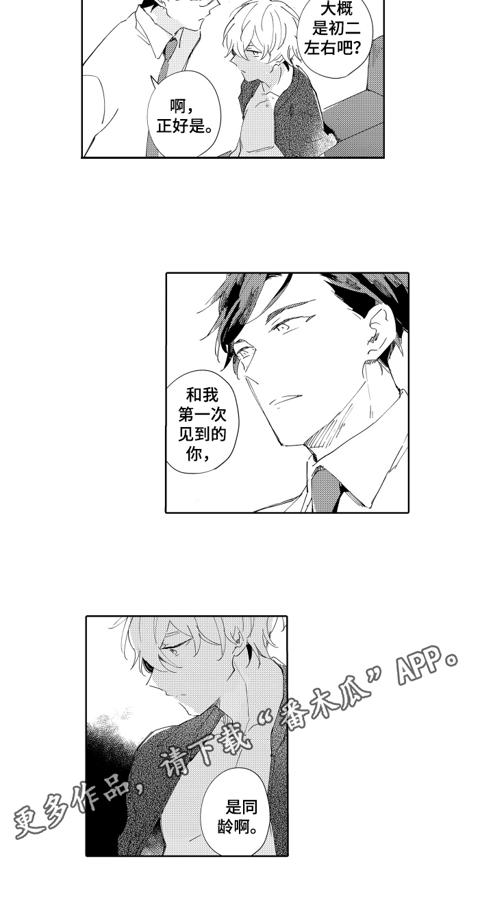 第13章：同龄12