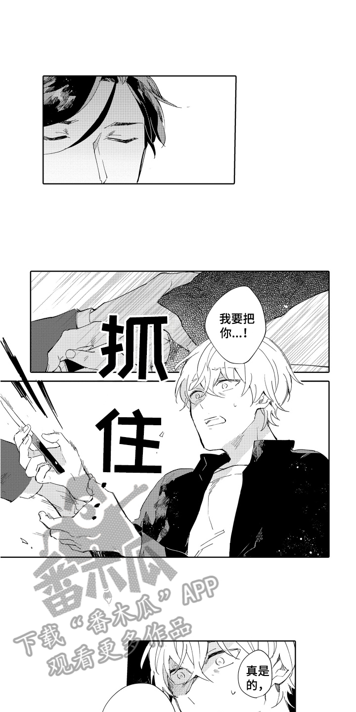 第19章：劝告5
