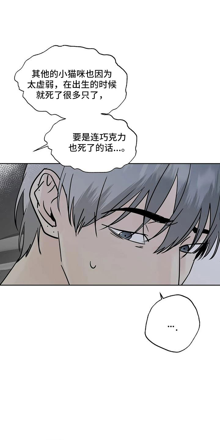 第53章：晴天霹雳26