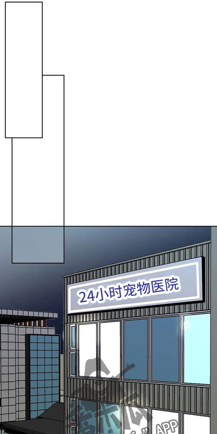 第53章：晴天霹雳21