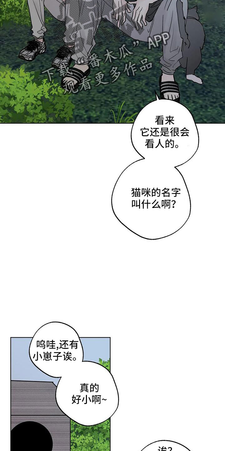 第51章：拜托了24